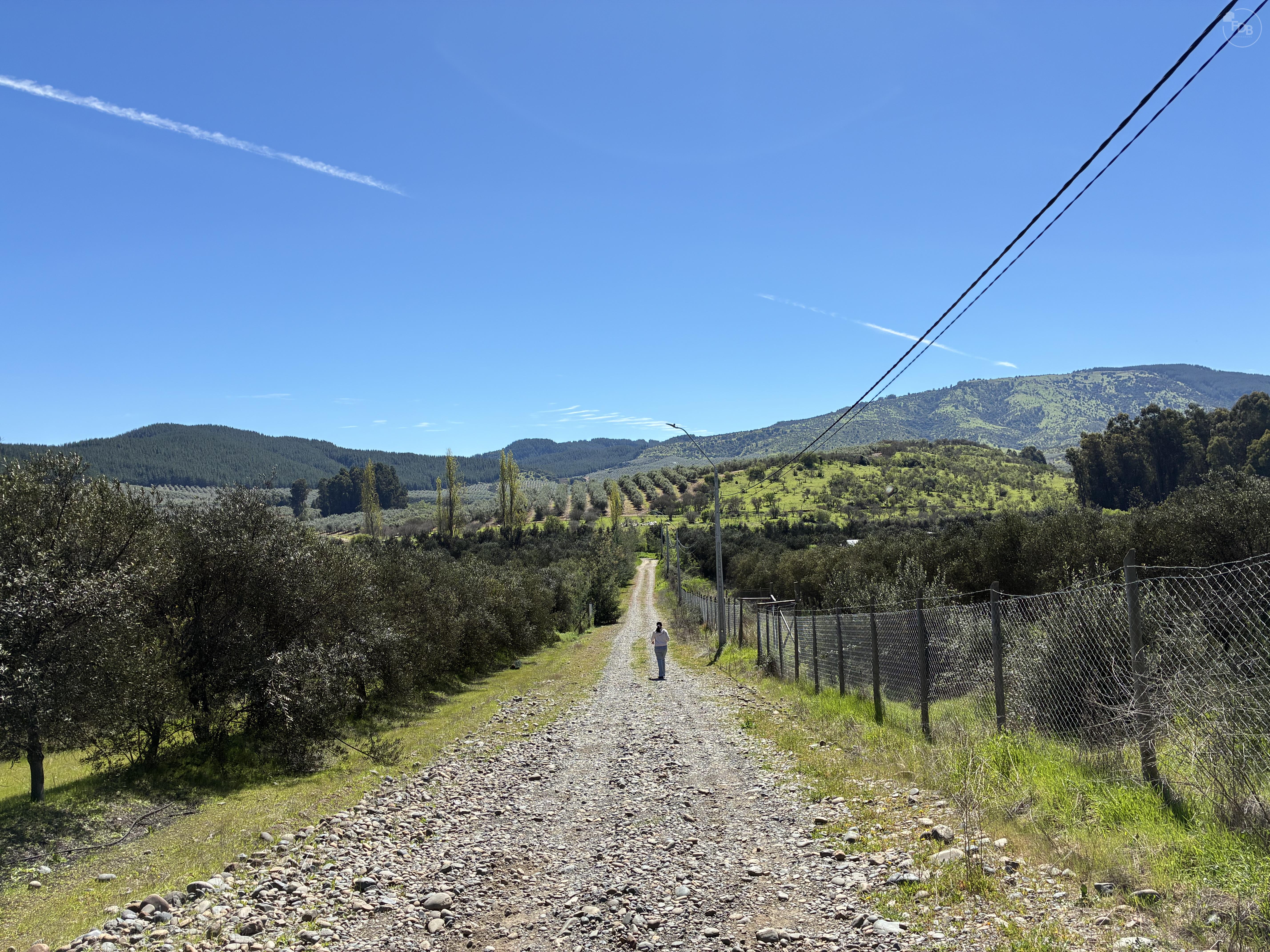 TERRENO CAMINO A PENCAHUE a 15 Minutos del Centro de Talca