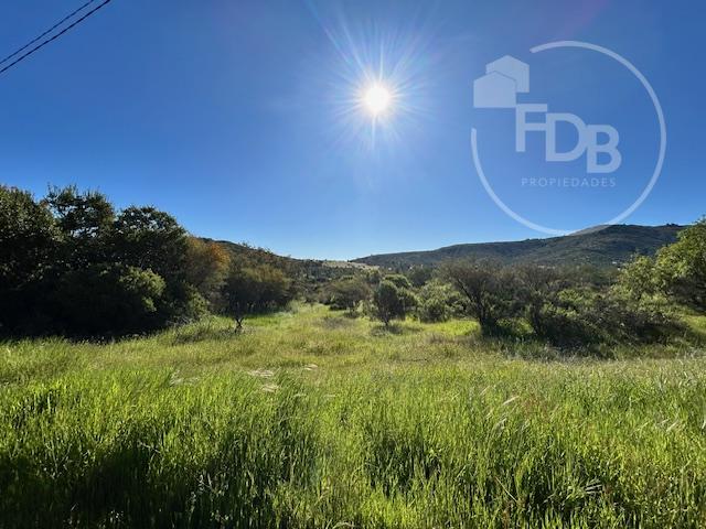 LOTEO LOMAS DEL CHIVATO