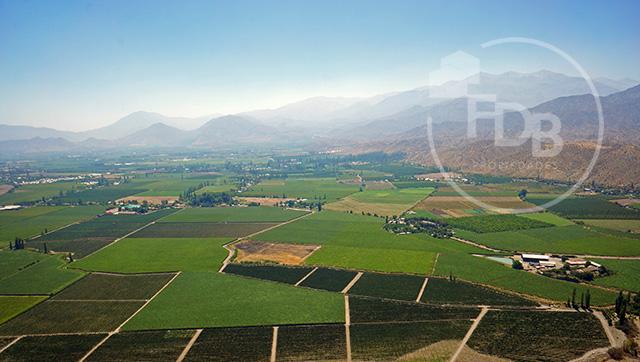 PORTAFOLIO AGRÍCOLA EN VENTA – PARRAL, REGIÓN DEL MAULE